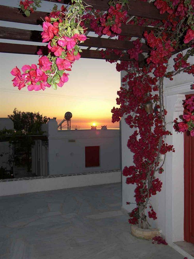 Guest house Vasilis 3*